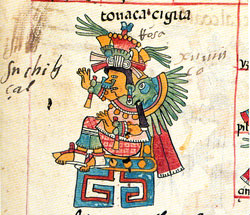 Pic 1: Xochiquetzal as a synthesis [aspect] of Tonacacíhuatl, Codex Telleriano-Remensis