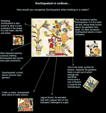 Pic 3: Clues for recognising Xochiquetzal, based on an image of her in the Codex Fejérváray-Mayer (see main picture, above)